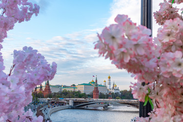 Similar image 21848312