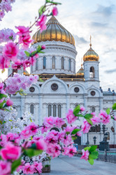 Similar image 21848314