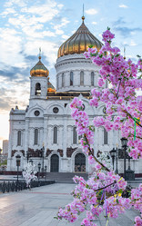 Similar image 21848315