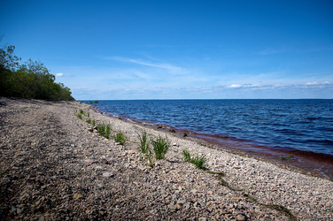 Similar image 21850639