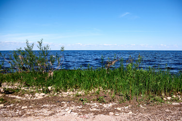 Similar image 21847933