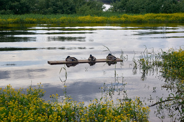 Similar image 21847935