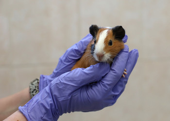 Similar image 21849031