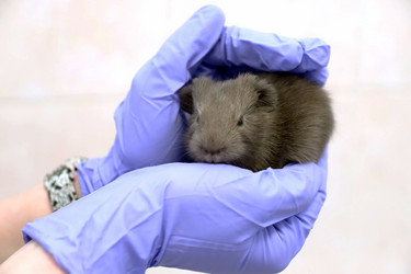 Similar image 21849032