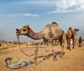 Similar image 21848766