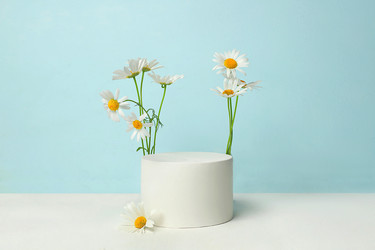 Similar image 21847939