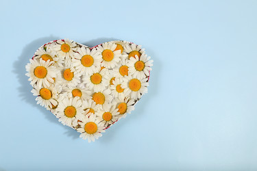 Similar image 21847940