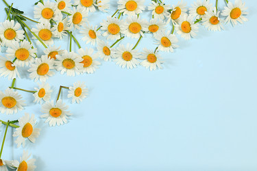 Similar image 21847941