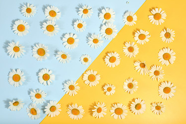 Similar image 21847942