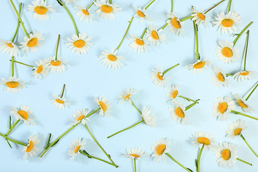 Similar image 21847961