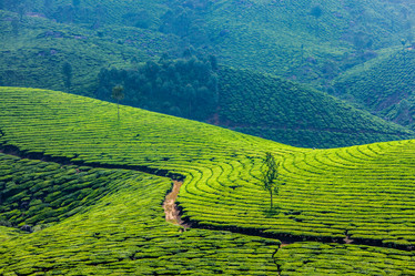 Similar image 21848627