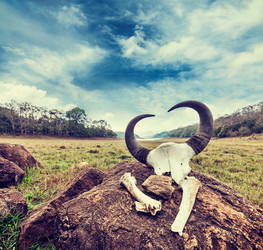 Similar image 21848641