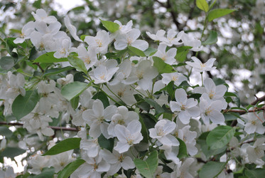 Similar image 21848323