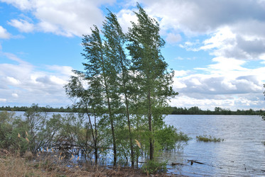 Similar image 21848328