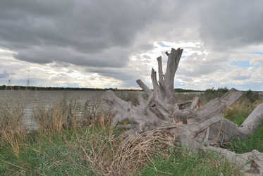 Similar image 21848341