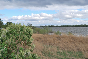 Similar image 21848344