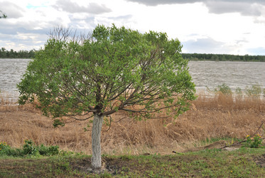 Similar image 21848345