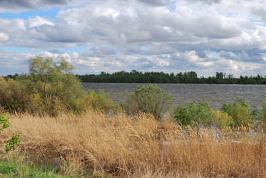 Similar image 21848349