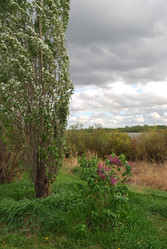 Similar image 21848352