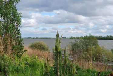 Similar image 21848358