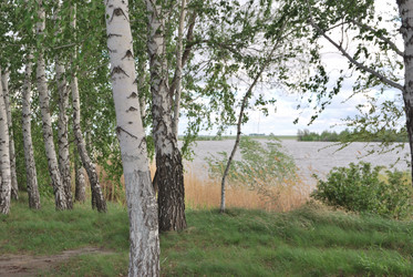 Similar image 21848360