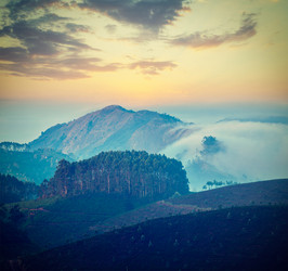 Similar image 21853296