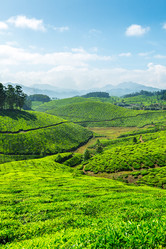 Similar image 21849467