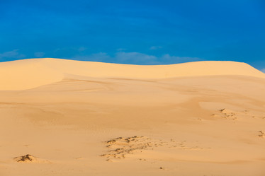 Similar image 21849798