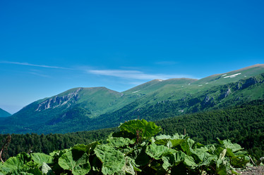 Similar image 21849047