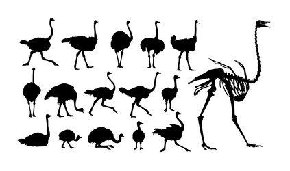 Similar image 21849051