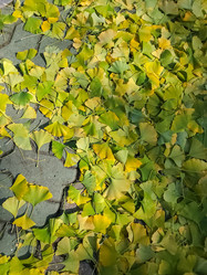 Similar image 21848932