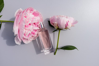 Similar image 21848954