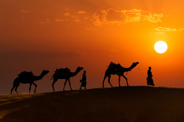 Similar image 21850186