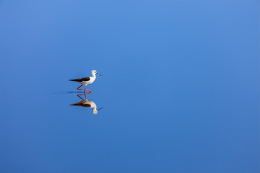 Similar image 21852317