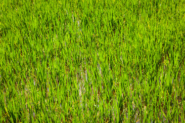 Similar image 21849537