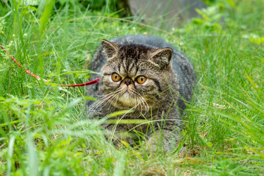 Similar image 21849057