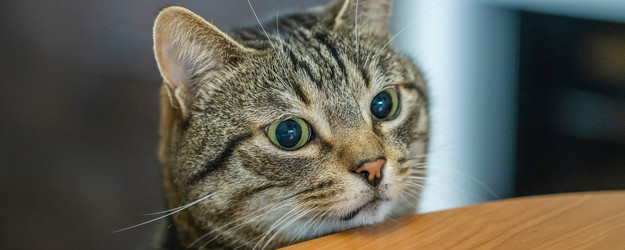 Similar image 21849308