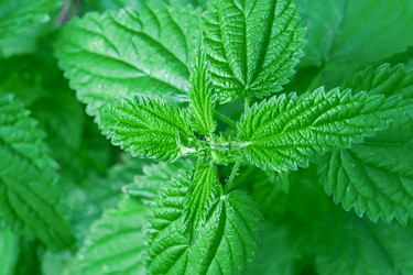 Similar image 21849310