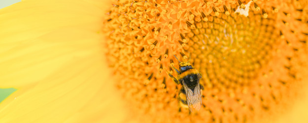 Similar image 21849312