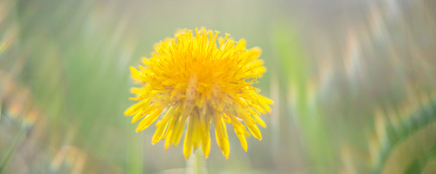 Similar image 21849313