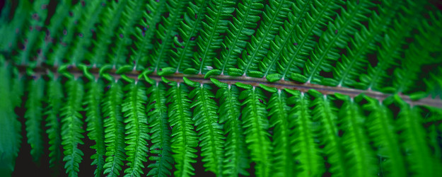 Similar image 21849314