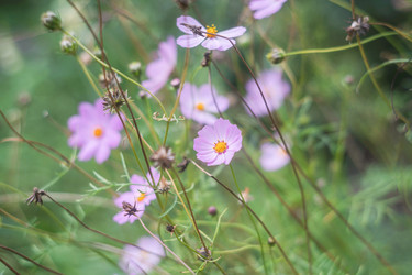 Similar image 21849316