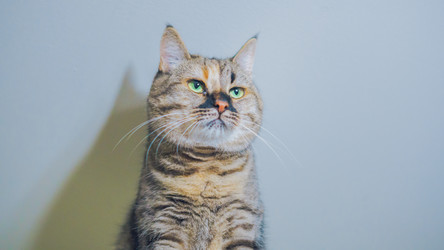 Similar image 21849328