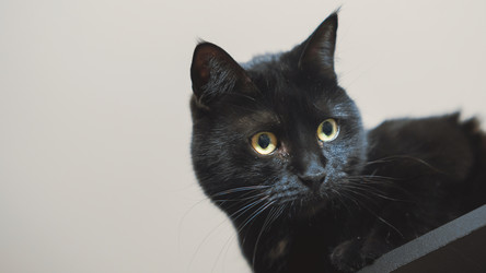 Similar image 21849331