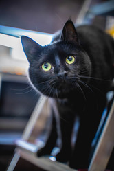 Similar image 21849335