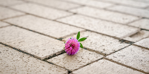 Similar image 21849338