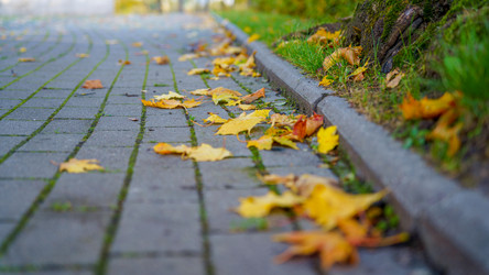 Similar image 21849339