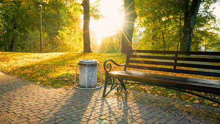 Similar image 21849340