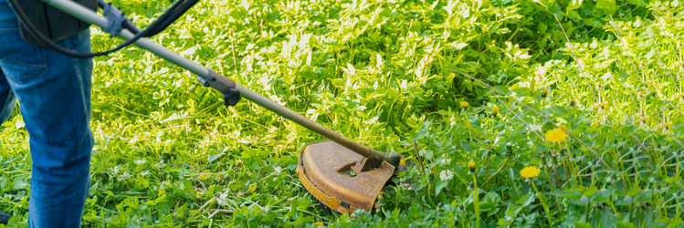 Similar image 21849349