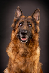 Similar image 21849068